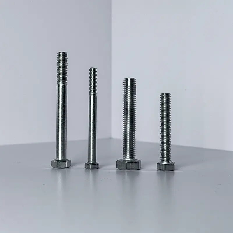 Stainless Steel Hex Bolts2.jpg